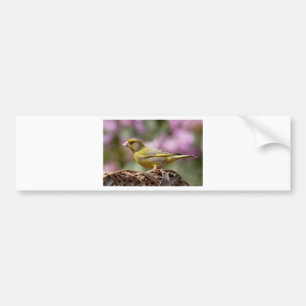 Autocollant De Voiture Finch vert