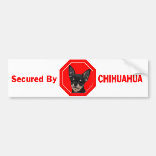 Autocollant De Voiture Fixé par le chiwawa