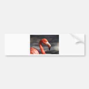 Autocollant De Voiture Flamant rose