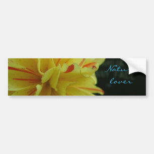 Autocollant De Voiture Fleur de jaune d'amant de nature