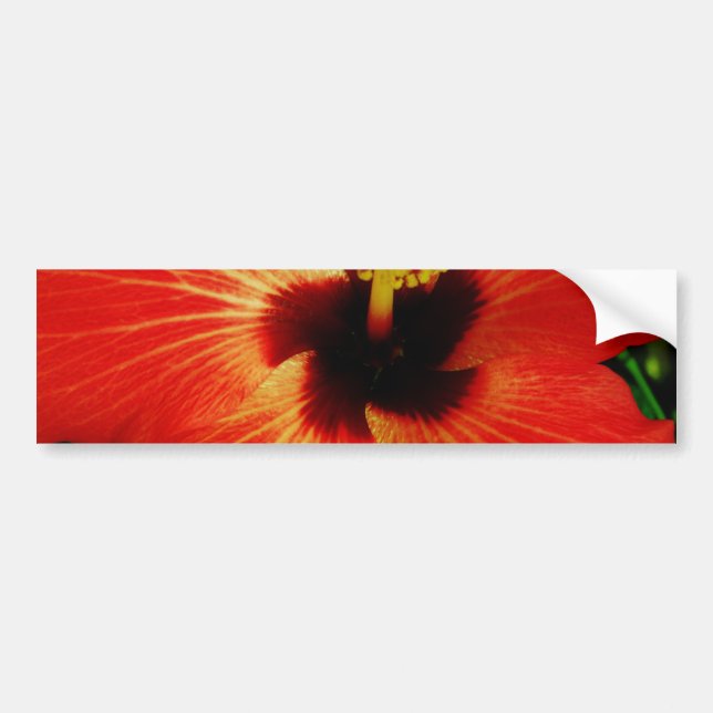 Autocollant De Voiture Fleur d'Hibiscus rouge-orange (Devant)
