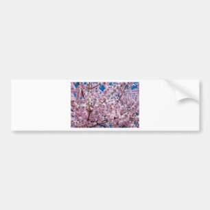 Autocollant De Voiture Fleur japonaise de cerisier