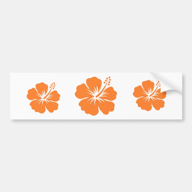 Autocollant De Voiture Fleur orange de ketmie (Devant)