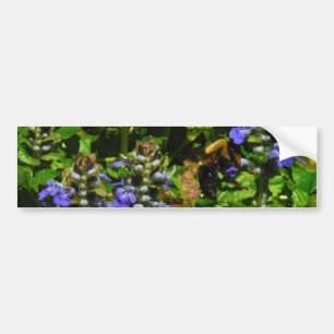 Autocollant De Voiture Fleur violette et abeille boursouflante