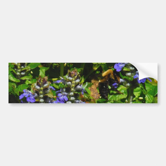 Autocollant De Voiture Fleur violette et abeille boursouflante (Devant)