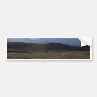 Autocollant De Voiture Fleurs dans le Death Valley