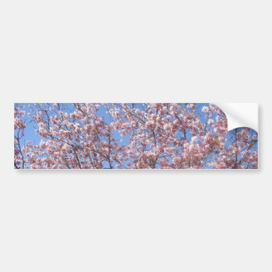 Autocollant De Voiture Fleurs de cerisiers