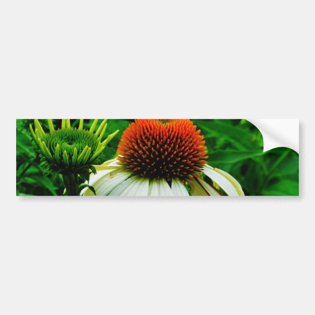 Autocollant De Voiture Fleurs de cônes blanches et orange (Devant)
