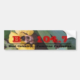 Autocollant De Voiture fleurs et abeilles 026, B    104,7, ___________…