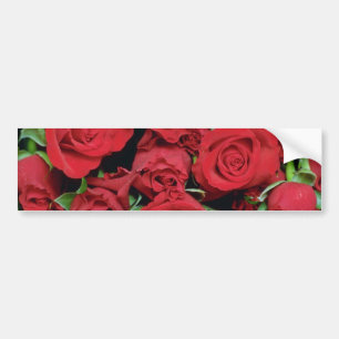 Autocollant De Voiture Fleurs rouges blanches de roses d'amoureux