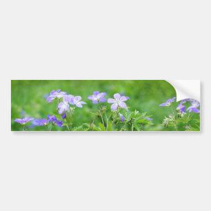 Autocollant De Voiture Fleurs violettes dans le champ