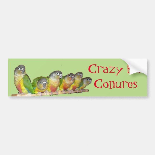 Autocollant De Voiture Fou pour Conures ! (Devant)