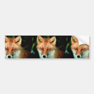 Autocollant De Voiture Fox rouge