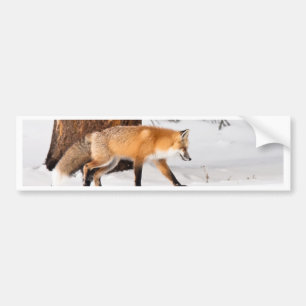 Autocollant De Voiture Fox rouge