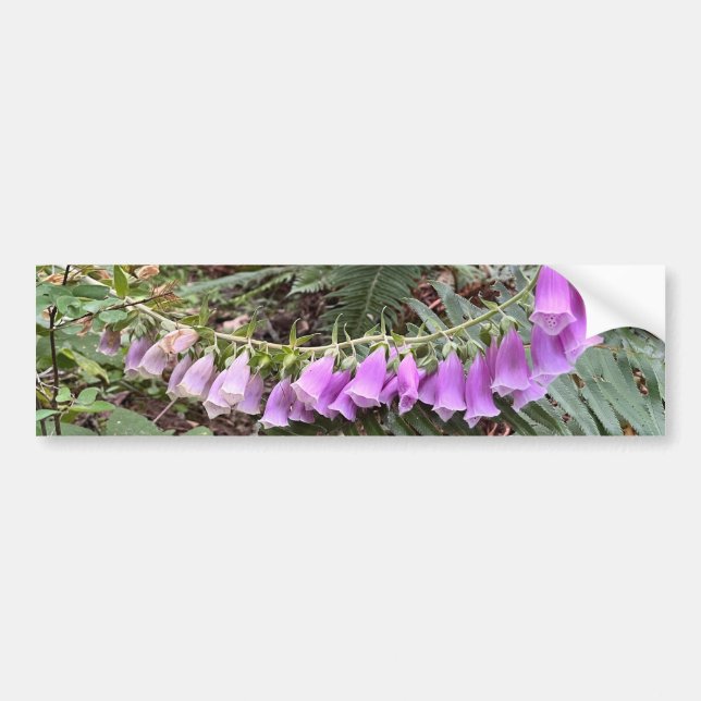 Autocollant De Voiture Foxglove photo (Devant)