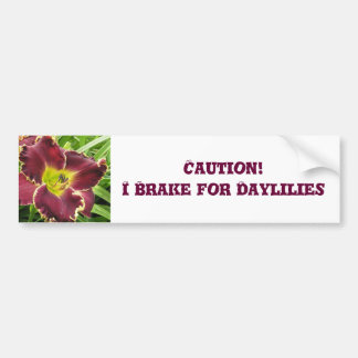 Autocollant De Voiture Frein d'adhésif pour pare-chocs pour des Daylilies