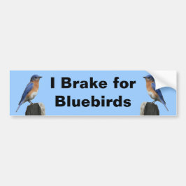 Autocollant De Voiture Frein pour l'adhésif pour pare-chocs des oiseaux