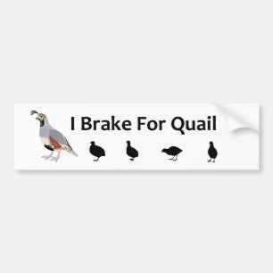 Autocollant De Voiture Frein Pour Sticker De Capteur De Queue
