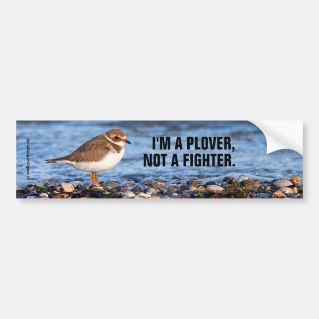 Autocollant De Voiture Funny Semipalmated Plover pas un combattant (Devant)