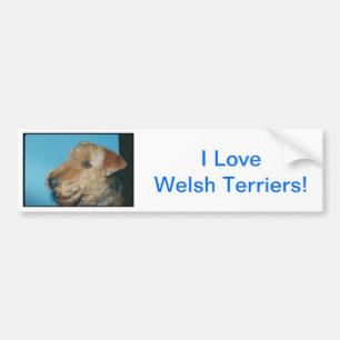 Autocollant De Voiture Gallois Terrier