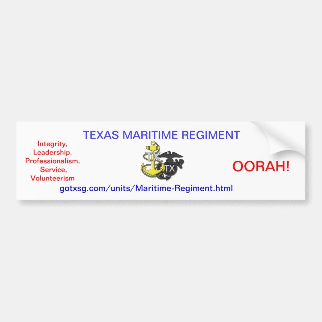 Autocollant De Voiture Garde d'état du Texas (Devant)