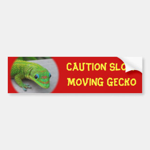 Autocollant De Voiture Gecko Gold Dust Day - Audition et obtenir quelques