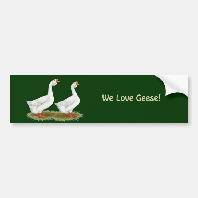 Autocollant De Voiture Geese de l'Afrique blanche (Devant)