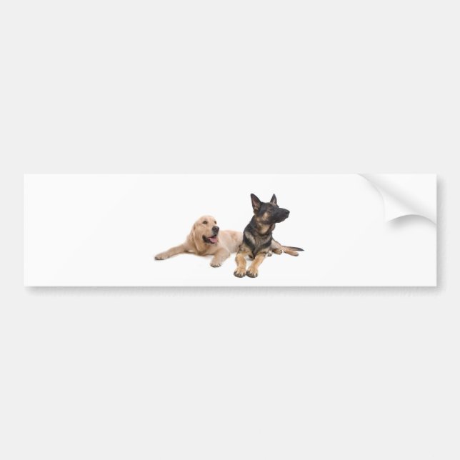 Autocollant De Voiture german shepherd and golden retriever (Devant)