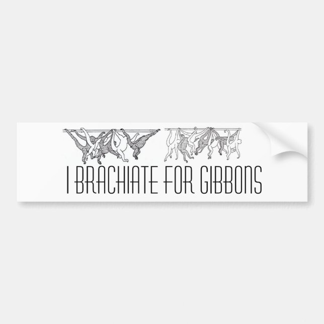 Autocollant De Voiture gibbons brachiating, gibbons brachiating (3), I… (Devant)