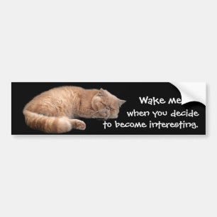 Autocollant De Voiture Gingembre Dormir Chat Funny Wake Me Citation