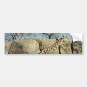 Autocollant De Voiture Giraffe