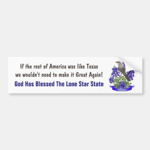 Autocollant De Voiture God Bless Texas Mockingbird & Bluebonnet