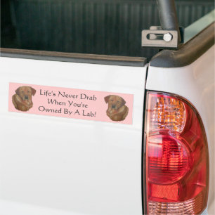 Autocollant De Voiture golden labrador extranteur amusant chien slogan