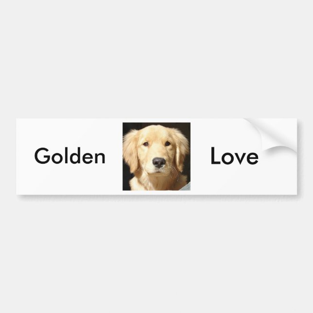 Autocollant De Voiture Golden Retriever (Devant)