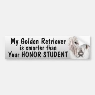 Autocollant De Voiture Golden retriever - plus futé que l'étudiant -