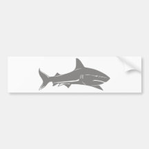 Grand requin blanc