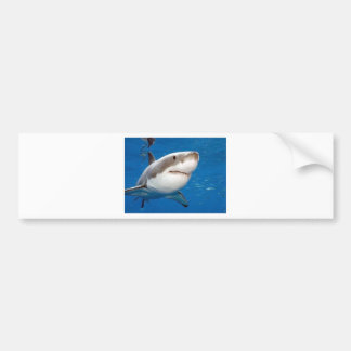 Autocollant De Voiture Grand requin blanc