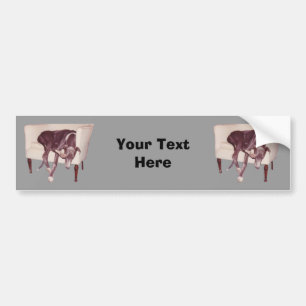 Autocollant De Voiture Gris Dormir Dans Chaise Drôle Sticker Bumper