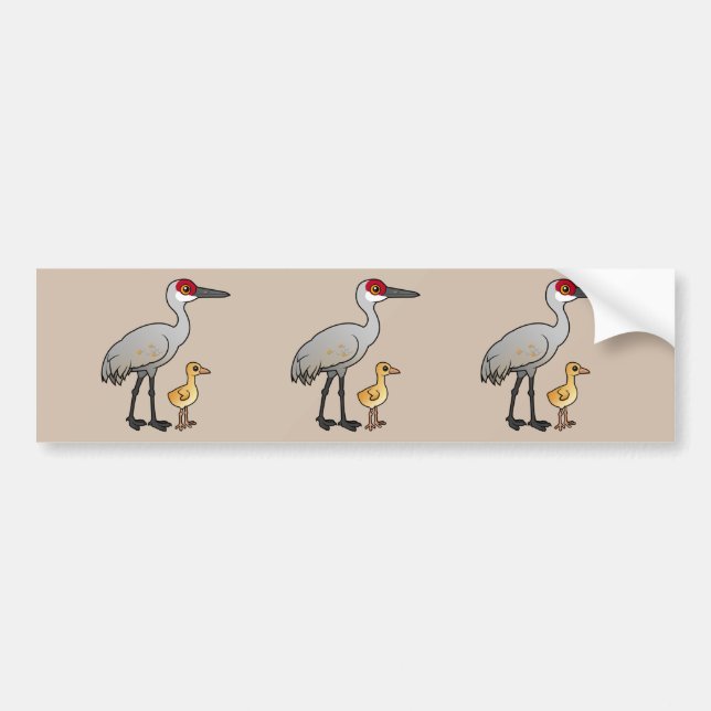Autocollant De Voiture Grue de Sandhill avec le poussin (Devant)