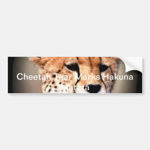 Autocollant De Voiture Hakuna Matata Feline Personnaliser cadeau Produit
