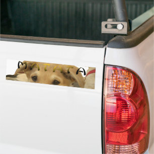 Autocollant De Voiture "Hakuna Matata Pup" - Insouciant Amour des chiots