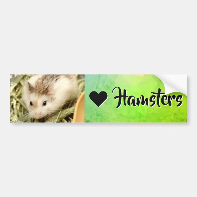Autocollant De Voiture Hammyville - I Love Hamster (Devant)