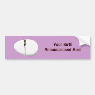 Autocollant De Voiture Hatching