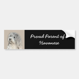 Autocollant De Voiture Havanese (Gold Sable) Painting - Original Dog Art