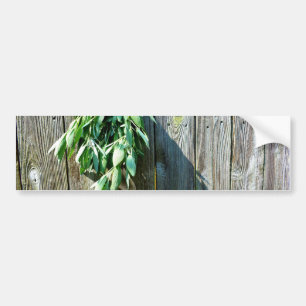 Autocollant De Voiture Herbes vertes botaniques à grains de bois affaissé