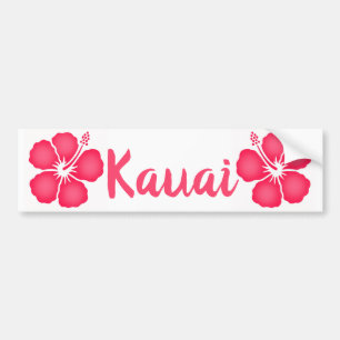 Autocollant De Voiture Hibiscus rose de Kauai