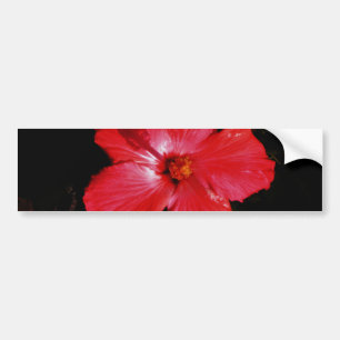 Autocollant De Voiture Hibiscus rouge