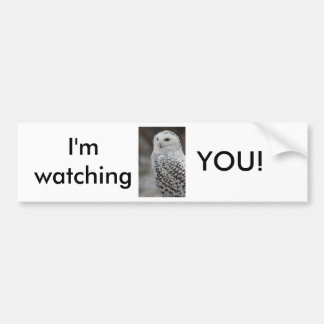 Autocollant De Voiture Hibou