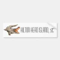 Hilton Head Island South Carolina Alligator