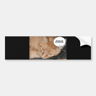 Autocollant De Voiture Humour de chat Tabby Orange/Téléphone cellulaire
